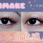 【キャンメイク】チーク1つで血色感メイク🍓プチプラ｜テラコッタ＿Cheek Makeup【アイメイク】