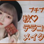 プチプラ多め♡秋のテラコッタメイク