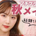 【プチプラ縛り】ドンキで1万円で購入したコスメで秋メイク🍂【テラコッタ】