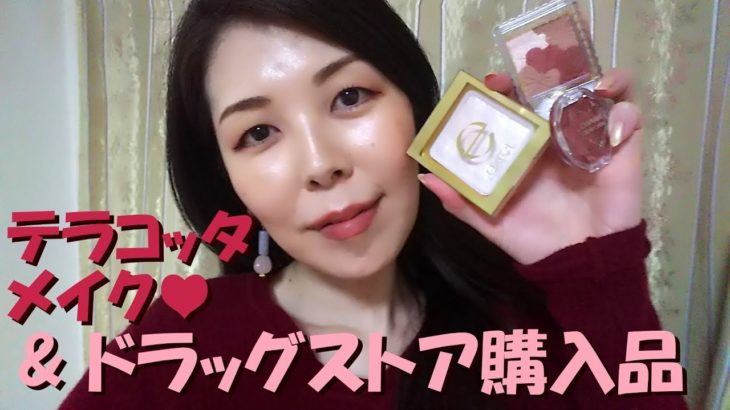 テラコッタメイク&ドラッグストア購入品