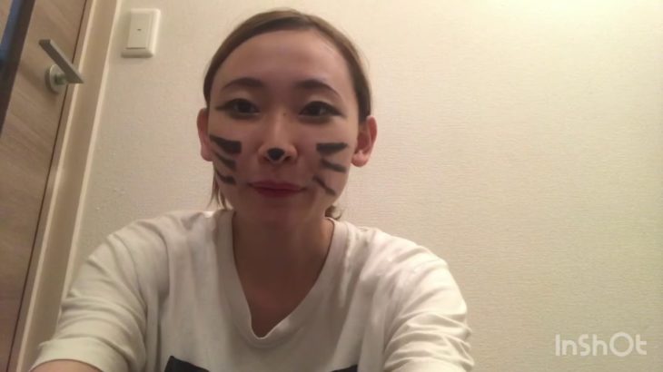 【メイク】ナチュラル猫🐈メイクをやってみた！