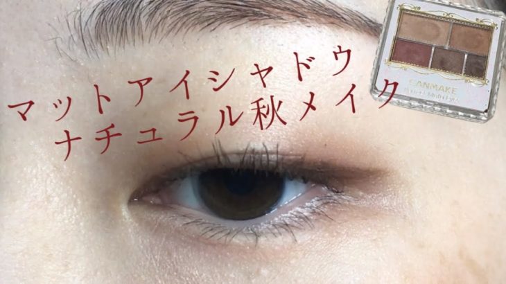 ラメ無し！ナチュラル秋メイク【プチプラ】【一重メイク・奥二重メイク】