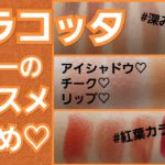 【秋冬】テラコッタカラーコスメまとめ【１６こ】