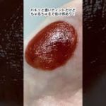 CANMAKEのティント♡テラコッタベアーが可愛い