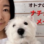 オトナのナチュラルメイク　完全版