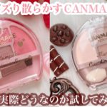 【CANMAKE新色】涙袋パレットでアイメイクしてみたら、、店頭から即消える大人気さ、さすがです🥶💓
