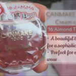 CANMAKE TOKYO Cream Cheek 16 Almond Terracotta | AIKOISH