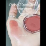 【キャンメイク】クリームチーク[16]アーモンドテラコッタ #プチプラメイク#コスメ#プチプラチーク