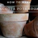 How to Make Terra Cotta Pots Look Old – Instantly Aged Terracotta Planter Pots using Paint!