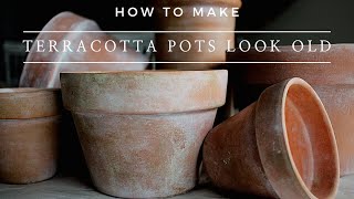 How to Make Terra Cotta Pots Look Old – Instantly Aged Terracotta Planter Pots using Paint!