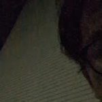 【夜会】お手入れしてからお手入れ　ベスコスをいじってみる