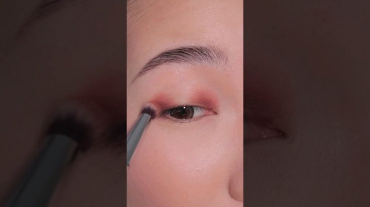 【ヘイローアイズ】外国人風な顔になれるアイメイク方🤎#shorts#メイク動画 #アイシャドウ