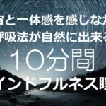 呼吸法が自然にできる10分間のマインドフルネス瞑想　北極星の光と呼吸を同調することで、雑念を排し、深いリラクゼーション状態に導きます　まるで自分が宇宙の一部であるかのような宇宙との一体感を実感