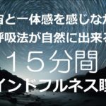 呼吸法が自然にできる15分間のマインドフルネス瞑想　北極星の光と呼吸を同調することで、雑念を排し、深いリラクゼーション状態に導きます　まるで自分が宇宙の一部であるかのような宇宙との一体感を実感