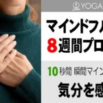 マインドフルネス8週間プログラム【1週目】10秒間 気分を感じてみる