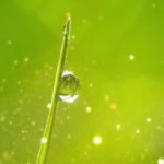 【ヒーリング音楽】睡眠・癒し・瞑想・ASMR・ＢＧＭ