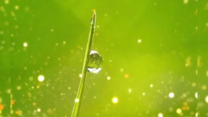 【ヒーリング音楽】睡眠・癒し・瞑想・ASMR・ＢＧＭ