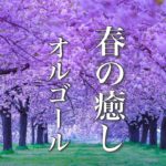 春のオルゴール曲メドレー【ゆったり睡眠用BGM】心が落ち着く癒しのメロディー♪