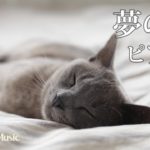 ピアノBGM：落ち着く癒しの曲 夢見る猫の睡眠用音楽 #92