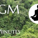 【マインドフルネス・瞑想用_BGM】沖縄やんばるの森｜鳥のさえずり①【5分】ティンシャの音でお知らせ