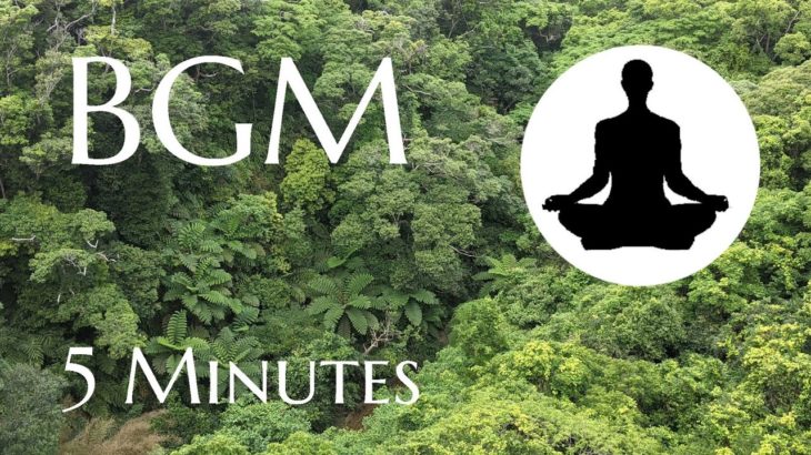 【マインドフルネス・瞑想用_BGM】沖縄やんばるの森｜鳥のさえずり①【5分】ティンシャの音でお知らせ