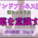 マインドフルネス瞑想　DAY8