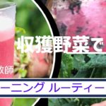 収獲した野菜で各種スムージー　#Shorts【ヨガインストラクターのモーニングルーティーン】YOGA Teacher Morning Routine