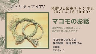 真菰（まこも）ご存知ですか？スピリチュアルTV