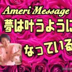 抵抗とは　今必要なメッセージ　amerimessage・チャネリング　スピリチュアル