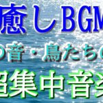 【癒しbgm】海の声と鳥の歌。瞑想音楽　癒しの超音波 セルフマインドフルネス　調整効果　作業用