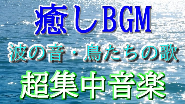 【癒しbgm】海の声と鳥の歌。瞑想音楽　癒しの超音波 セルフマインドフルネス　調整効果　作業用