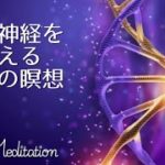 【誘導瞑想】副交感神経の反応を改善する｜自律神経を整えるための瞑想