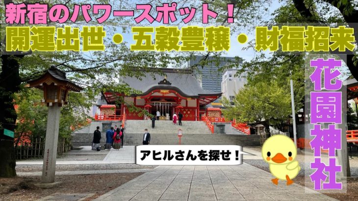 スピリチュアル！新宿のパワースポット！【花園神社】アヒルさんを探せ！【縁結び/子授け】