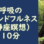 呼吸のマインドフルネス　静座瞑想　マインドフルネス８週間プログラム
