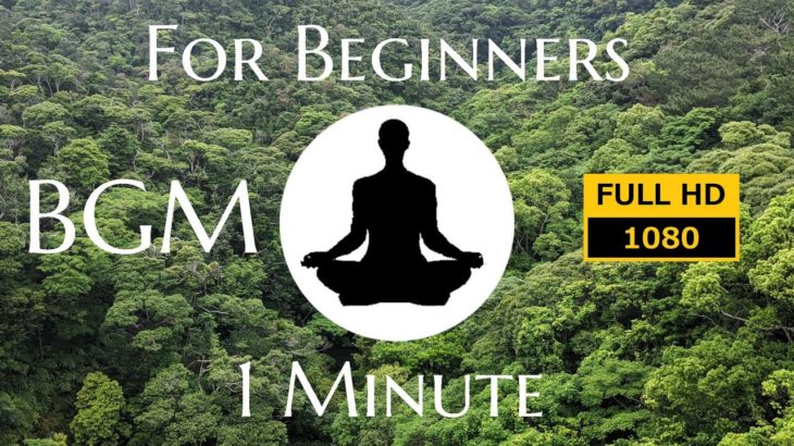 今日から始めよう【マインドフルネス瞑想】初心者向け【1分】鳥のさえずり｜音声ガイダンス付き