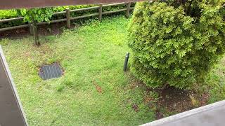 『だいたい15分🧘‍♀マインドフルネス　呼吸』〜の歩み、その3