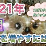 占い🔮2021年5月収入を増やすには？スピリチュアルメッセージ