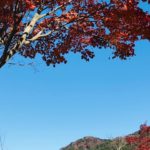 寝る前の3分 中高生のための優しい時間　マインドフルネス瞑想