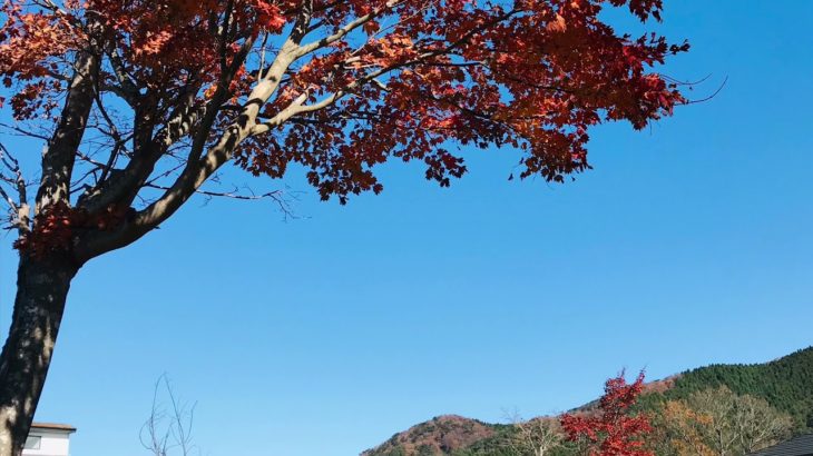 寝る前の3分 中高生のための優しい時間　マインドフルネス瞑想