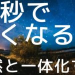 30秒で眠くなる　快眠　睡眠　導入　効果　癒し　夜空の風景