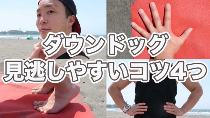 ダウンドッグできない原因4つとやり方解説【ヨガ初心者用決定版】