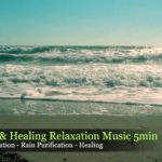 【 マインドフルネスに没頭する　5分間 】ヒーリングミュージック 睡眠 瞑想 音楽 回復 ストレスフリー /