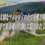 【スピリチュアル】あなたの大切なツインレイの全てを解き明かします特別な相手である魂の片割れに隠された7つの真実