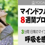 マインドフルネス8週間プログラム【3週目】3分間 呼吸を感じてみる