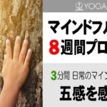 マインドフルネス8週間プログラム【4週目】3分間 五感を感じてみる