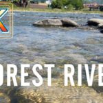 広告無【睡眠・癒し・勉強】川のせせらぎ【ASMR】