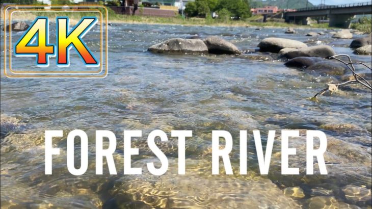 広告無【睡眠・癒し・勉強】川のせせらぎ【ASMR】