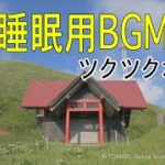 【睡眠用BGM】ツクツクボウシが鳴く故郷の神社 / 癒し系作業用BGM