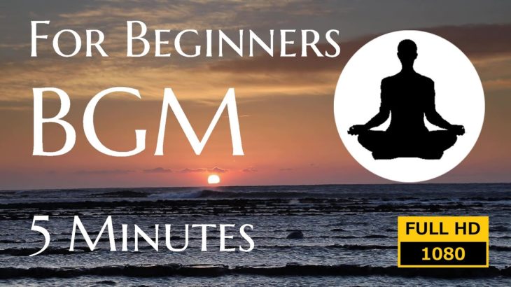 【マインドフルネス・瞑想用_BGM】初心者向け｜誘導ガイダンスあり【5分】波の音｜自然映像