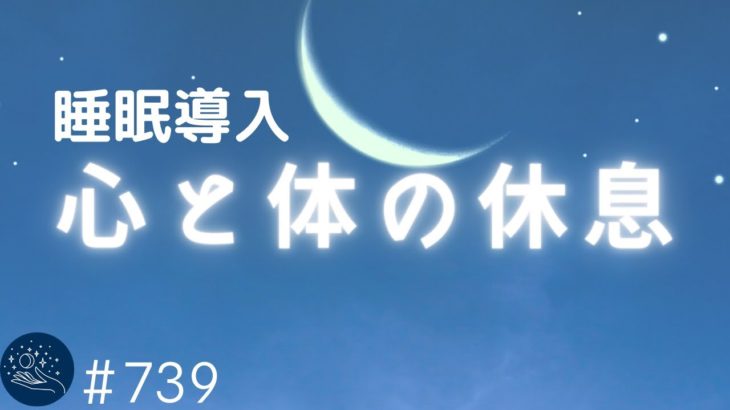 【睡眠用BGM・ヒーリングミュージック】深い眠りにつくための癒しの音楽　心と体の休息　リラックス、安眠、不眠症対策＃739｜デルタ波による睡眠導入効果｜SilentSpaceTV